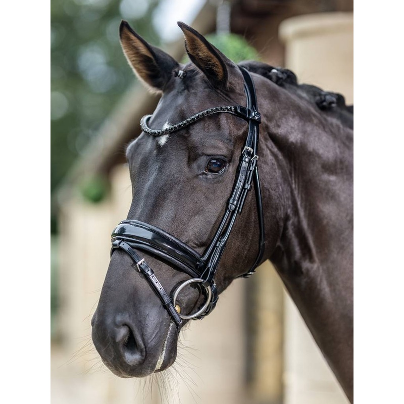 Kudos Patent Dressage Bridle