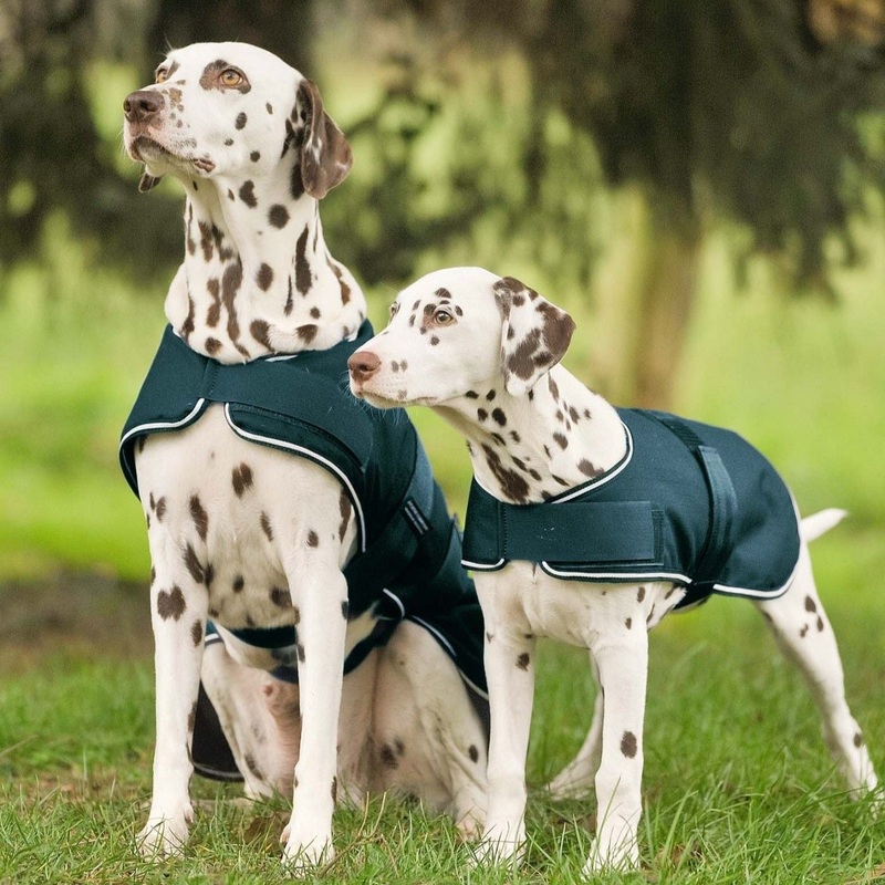 Waldhausen Dog Raincoat
