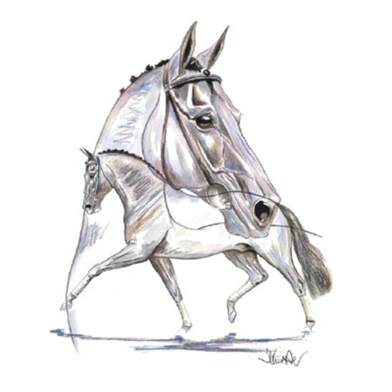 Hengsttraum (Dressage) By: Jan Kunster