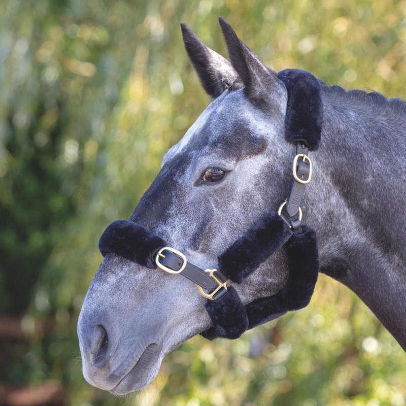 Shires ARMA SupaFleece Halter Sleeves