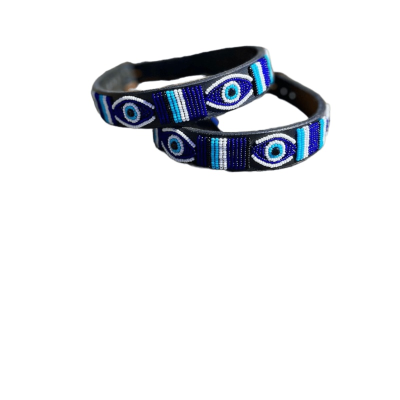 “Evil Eye” Dog Lead