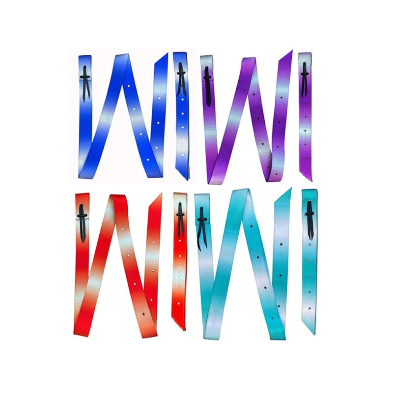 Showman  Premium Quality Ombre Print Nylon tie strap and Off Billet set