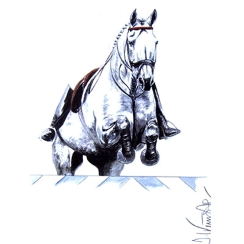 Monaco (Show Jumper) By: Jan Kunster, Matted