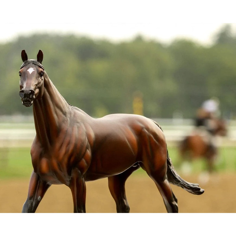 Breyer Cody’s Wish