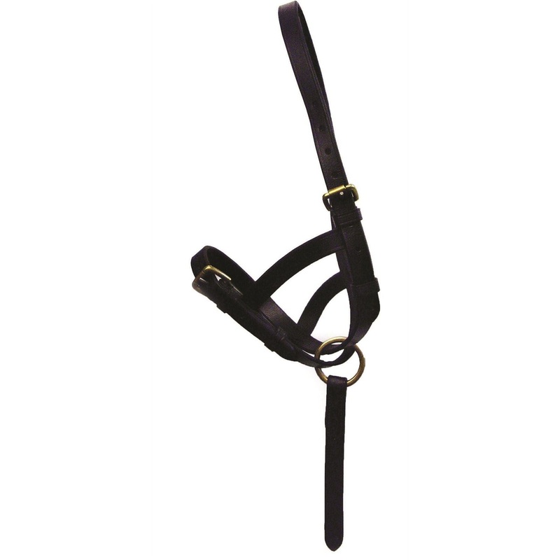 Hy Leather Foal Slip