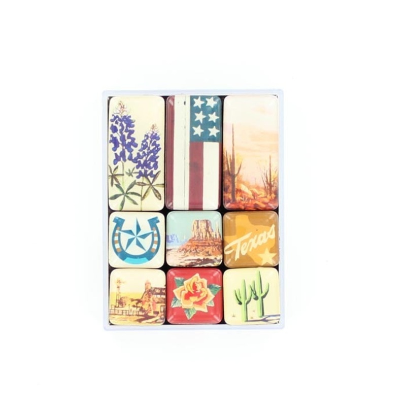 Western Moments Texas Magnets