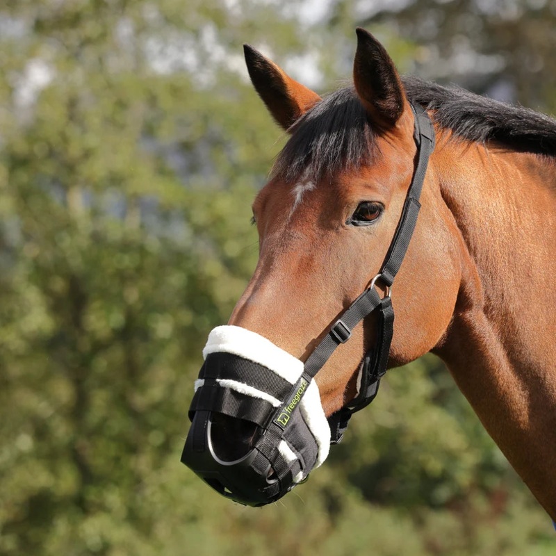 495NF FreeGraze Deluxe Comfort Grazing Muzzle
