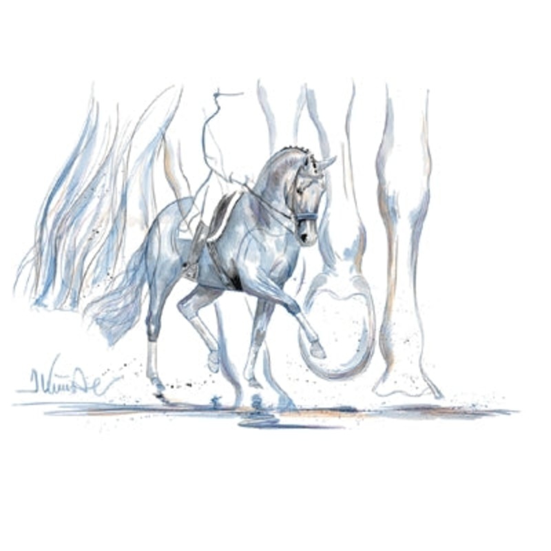 Azzurro (Dressage) By Jan Kunster