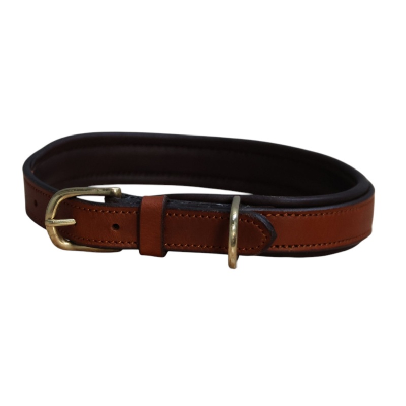 Mackey Padded Leather Dog Collar