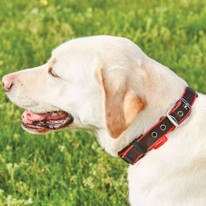 Weatherbeeta Therapy-Tec Dog Collar