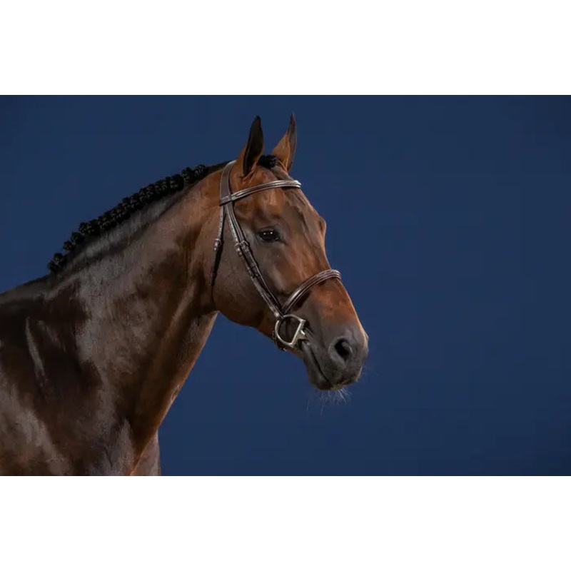 Dy’on Cavesson Noseband Bridle