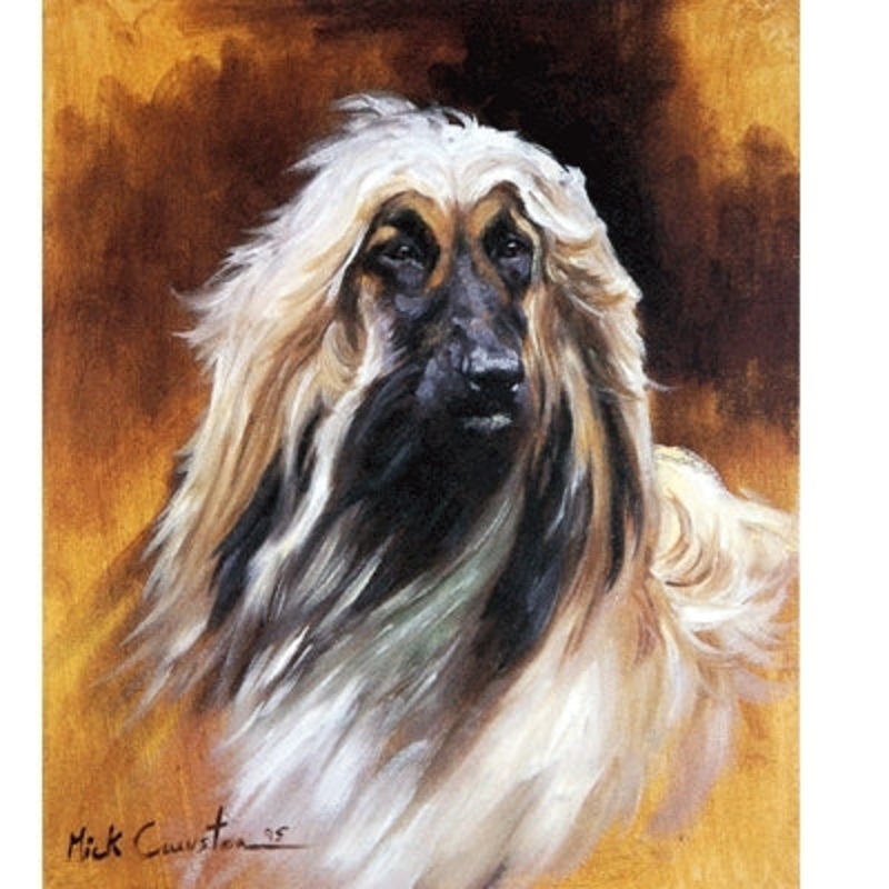 Afghan By: Mick Cawston