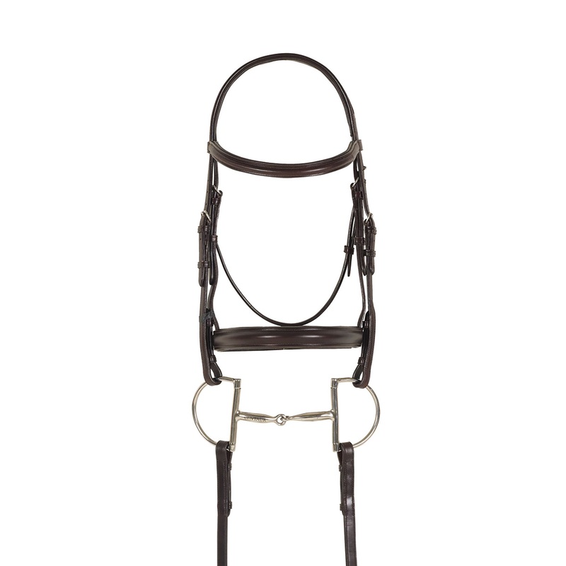Draft Cross Plain Raised Padded Bridle