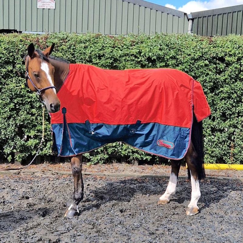 Whitaker Rudston 50G Turnout Rug