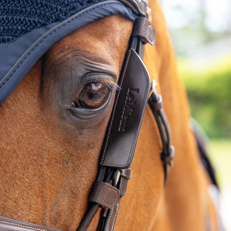 Leather Bridle Blinkers