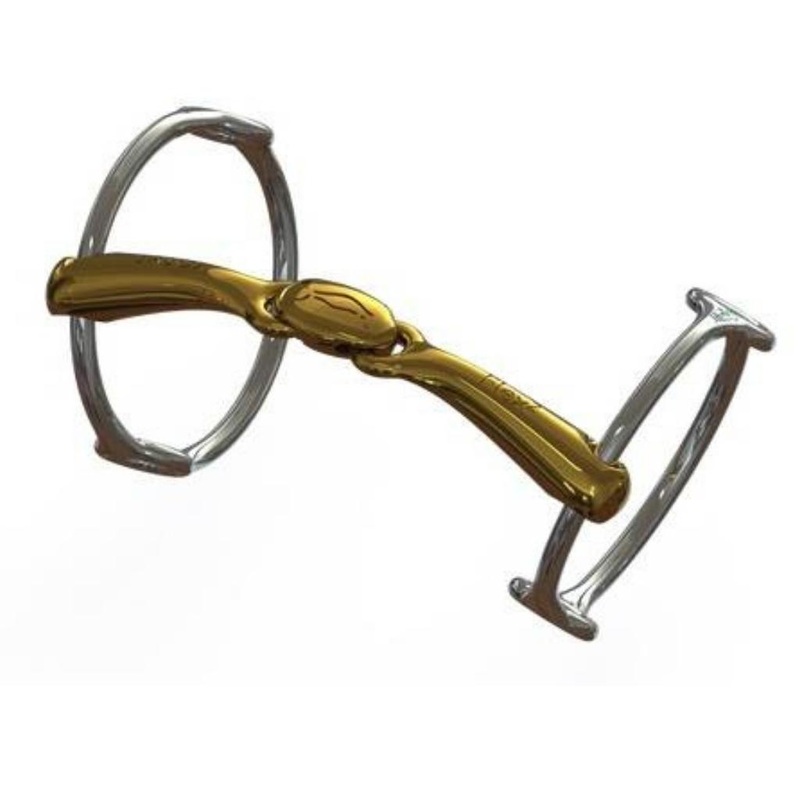Neue Schule Turtle Top Balding Gag
