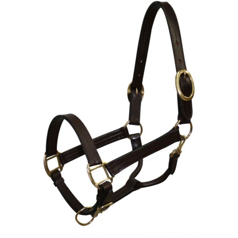 #6620C: Cobb size leather halter with brass hardware