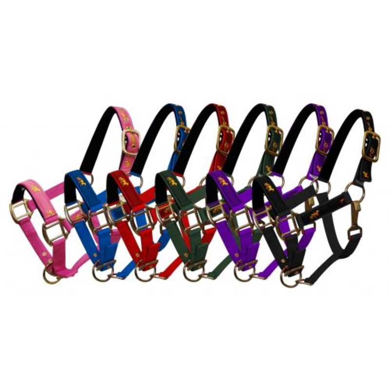 #6550P: Pony size nylon halter with “running horse” overlay