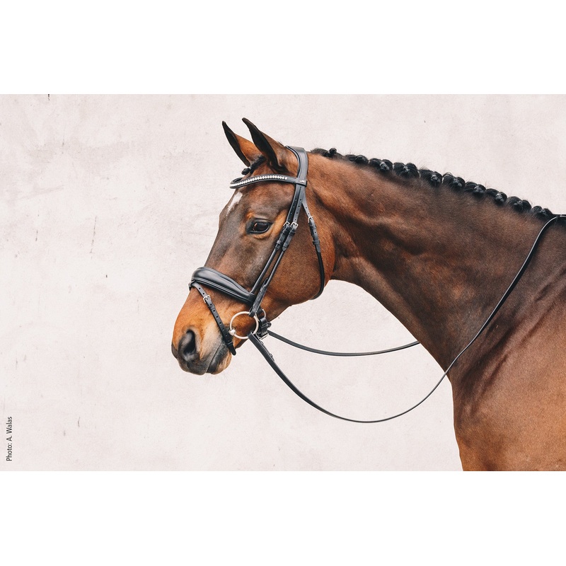 Schockemohle Malibu Dressage Bridle