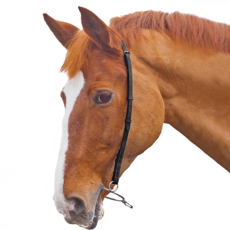 Shires Blenheim Chifney Bit Strap