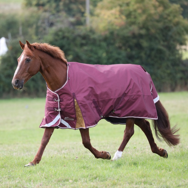 Shires Highlander Plus 100g Turnout Rug