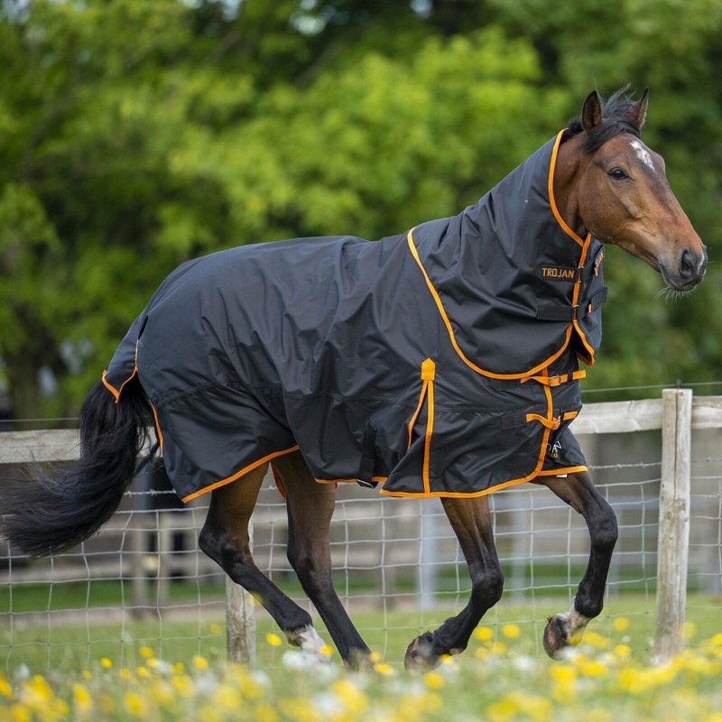 Gallop Trojan Dual 100g Horse Turnout Rug, Detachable Neck, Lightmedium