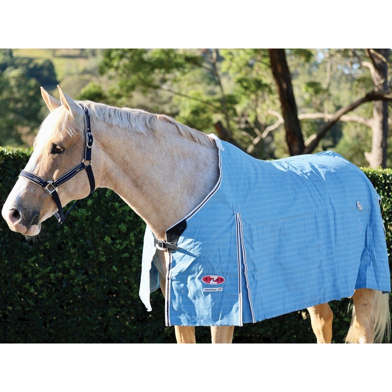 Zilco Hamilton Rug