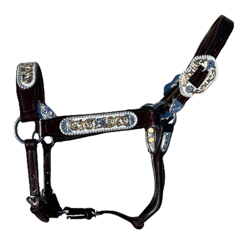 1231-250 Kathy’s Show Halter Congress Cut with Red Stones – Mare / 2 Year Old