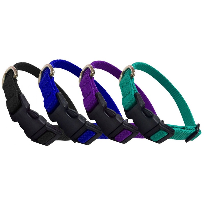 Showman Couture  Large Nylon dog collar