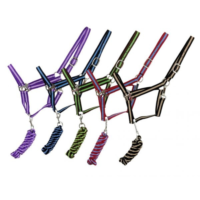 2PLY Two Tone Average Horse Size Halter with Nickel Hardware