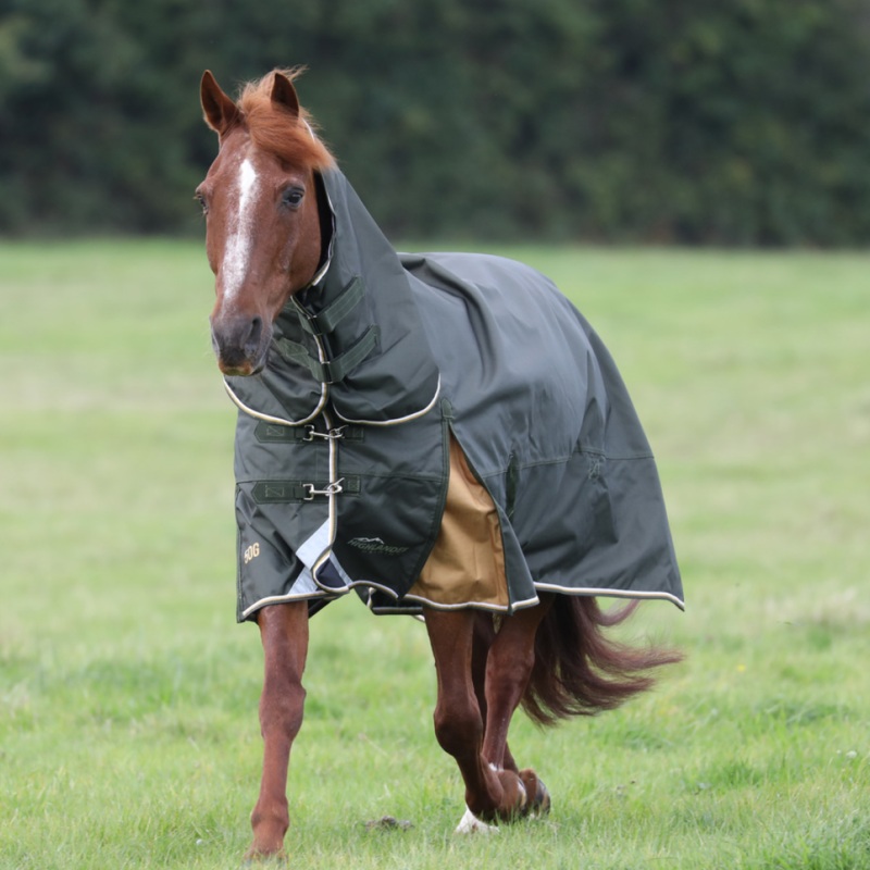 Shires Highlander Plus 50g Combo Turnout Rug