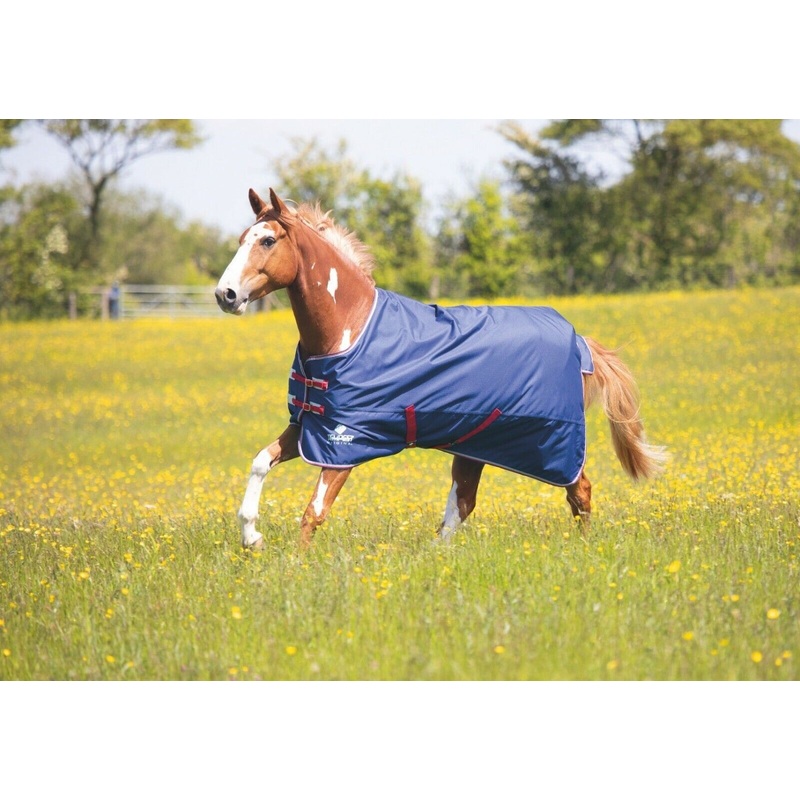 Shires Tempest Original Air Motion Lite Horse Turnout Rug