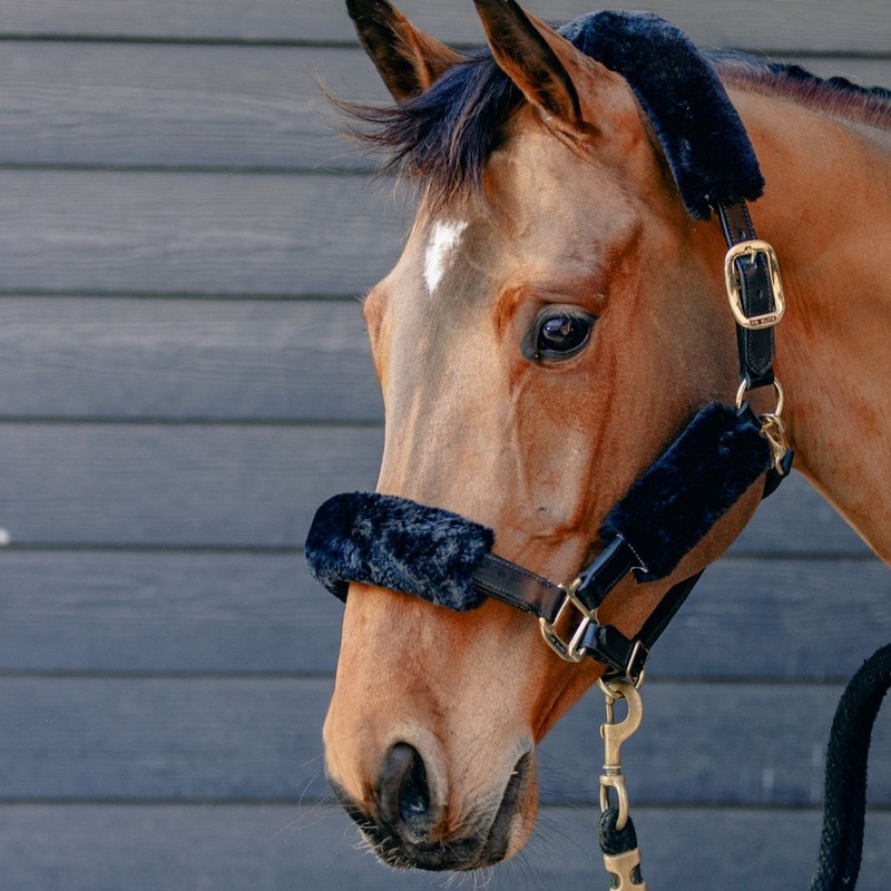 KM Elite Teddy Soft Headstall Set