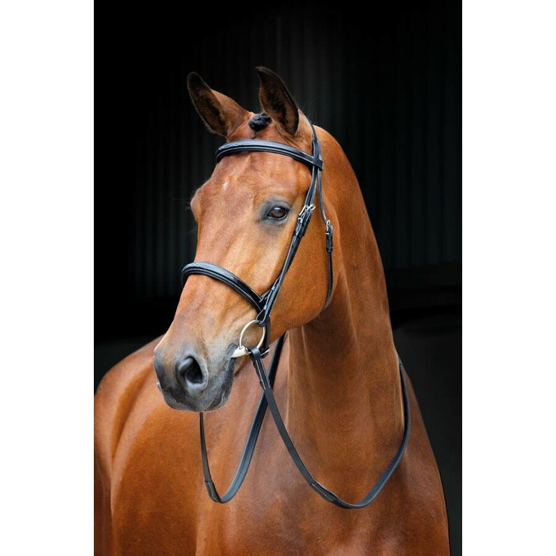 Shires Salisbury Fairford Horse / Pony Snaffle Bridle