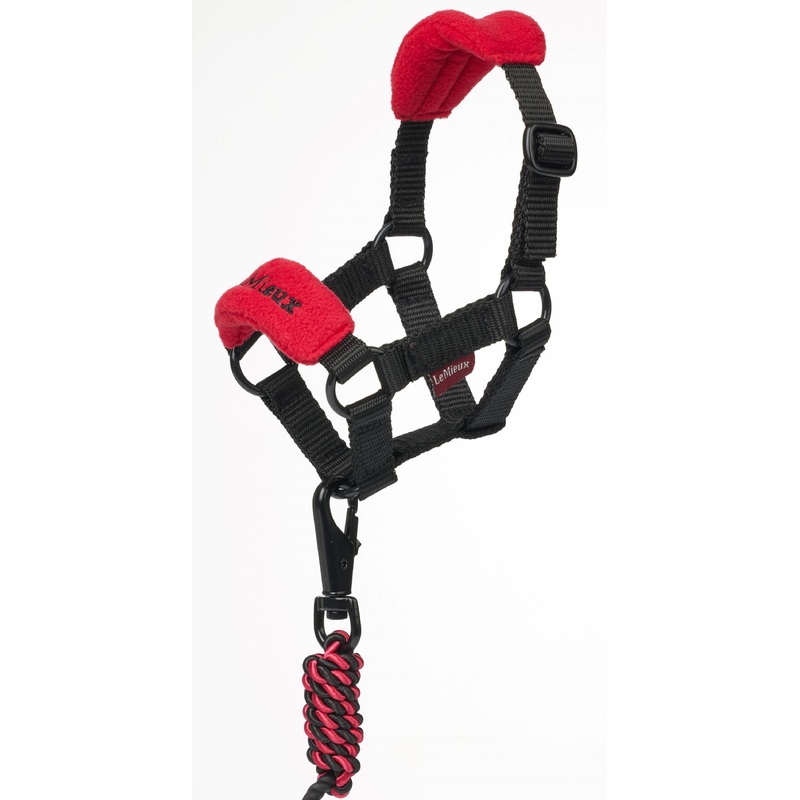 Toy Pony Vogue Headcollar & Lead rope