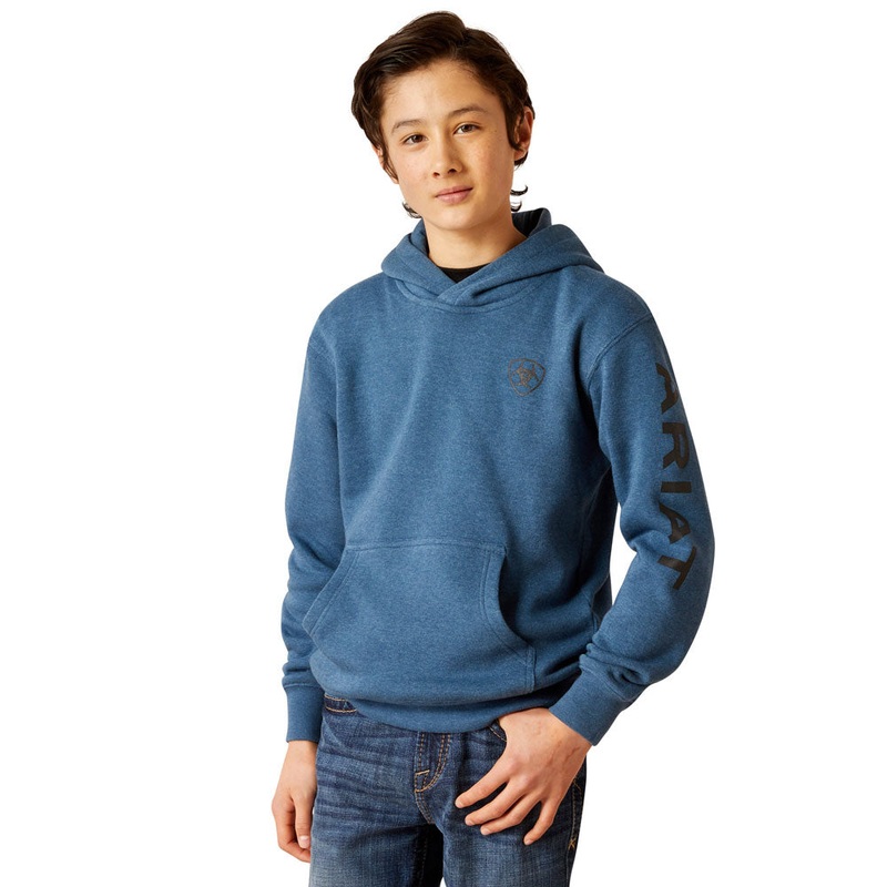 10046472 Ariat Boys’ Ariat Logo Hoodie – Poseidon