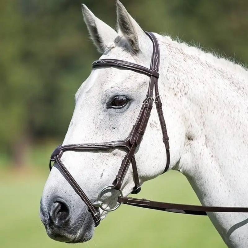 Shires Avignon Grackle Bridle