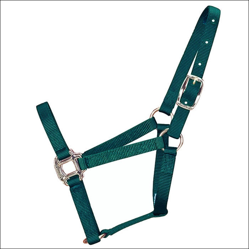 3/4″ Weanling Quality Nylon Horse Halter Hamilton Products Usa Dark Green
