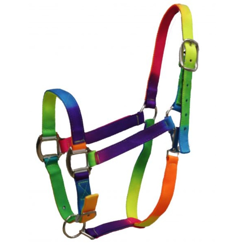 #721017-8: Showman rainbow colored 3 ply nylon halter with adjustable nose
