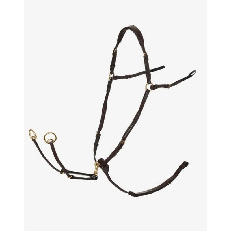 LeMieux Breastplate with Detachable Martingale