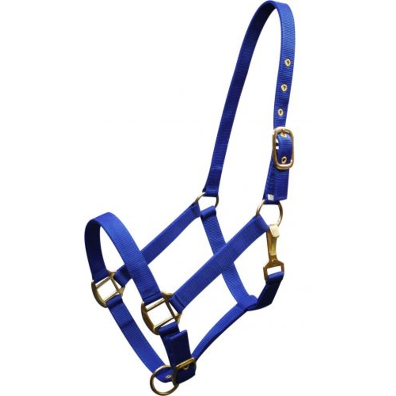 #6634H: Horse size Triple ply nylon halter with brass hardware