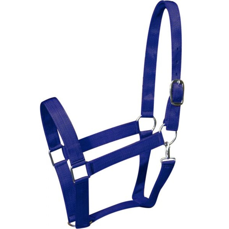 Draft horse size nylon halter