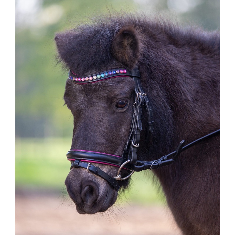 Waldhausen Pinky Star Bridle