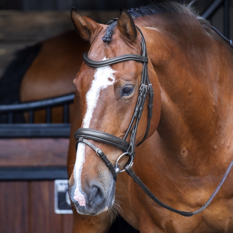 Shires Velociti RAPIDA Dressage Flash Bridle