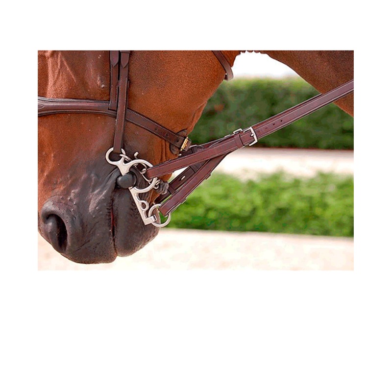 Dyon Converter Rubber Reins – New English Collection