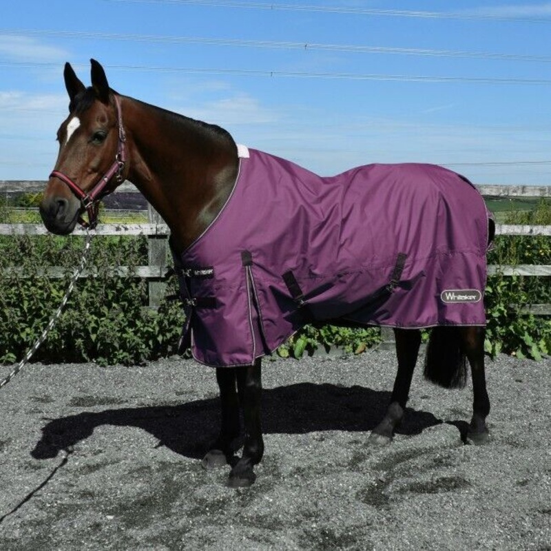 Whitaker THISTLE 100G Lightweight Horse Turnout Rug
