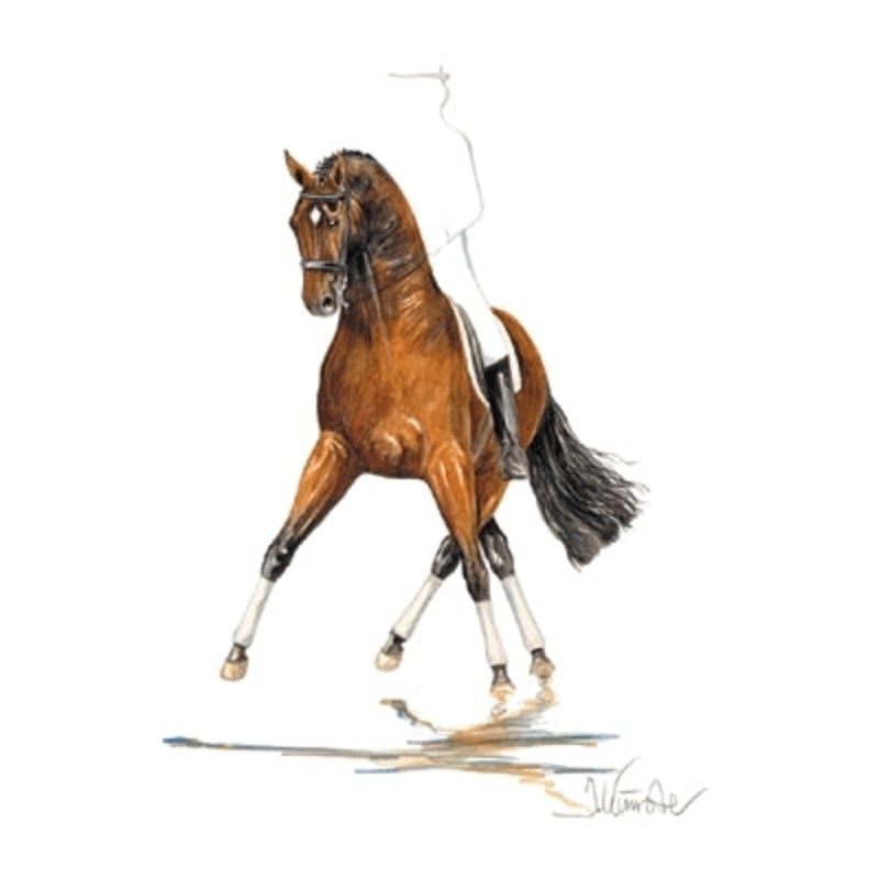San Diego (Dressage) By: Jan Kunster, Matted