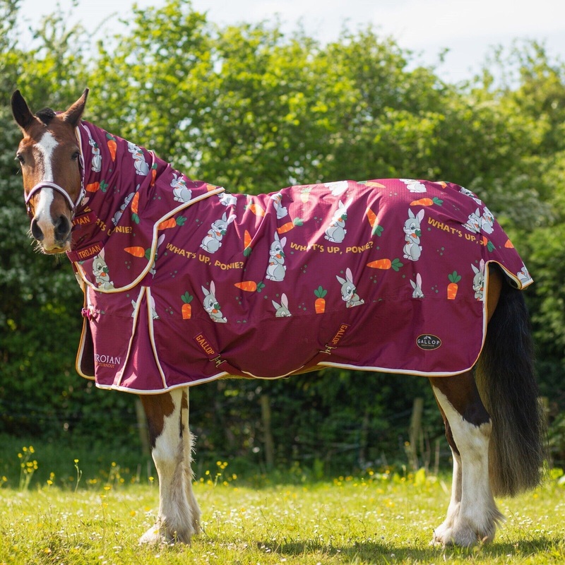 Gallop Trojan Bunnies and Carrots 50g Dual Horse Rug & 5-Point Neck Turnout Set