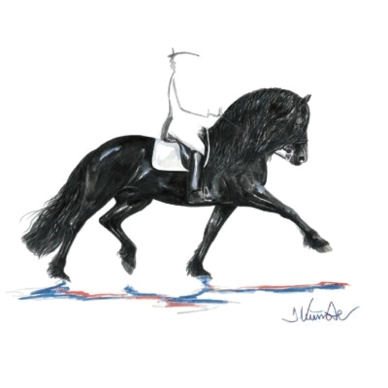 Juwel (Friesian Dressage) By: Jan Kunster, Matted