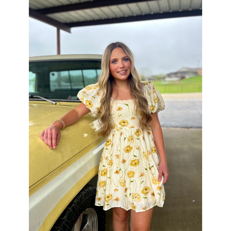LUSH GARDEN MINI DRESS